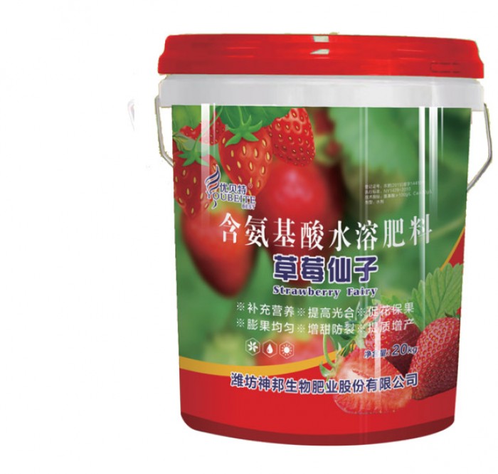 草莓仙子